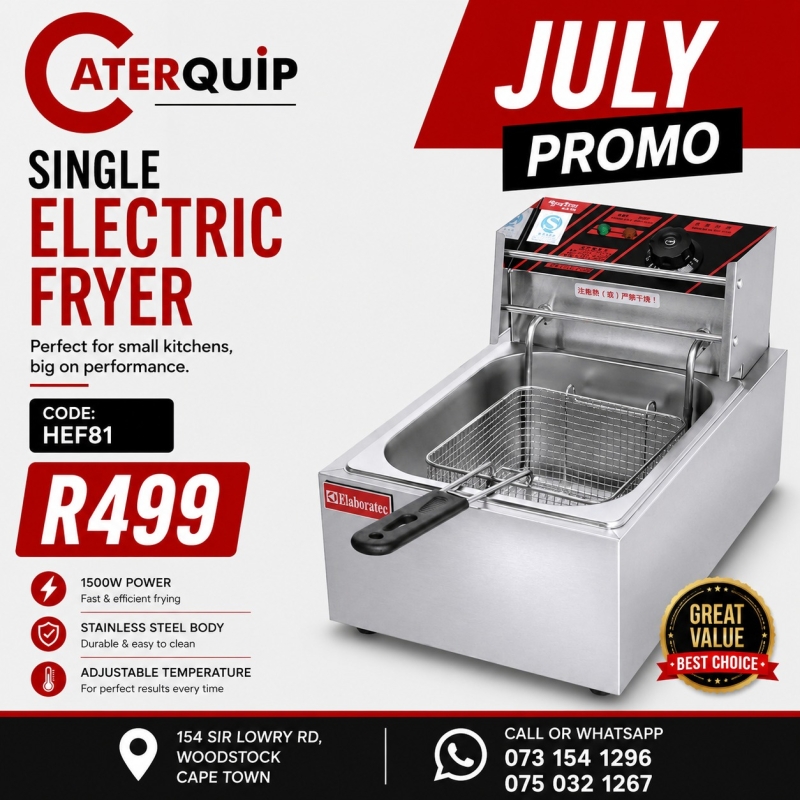 single electric fryer